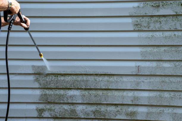 Best Siding for New Construction  in Five Points, NC