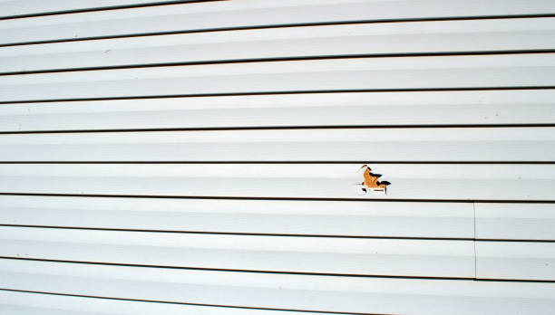 Best Weatherproofing and Sealing  in Five Points, NC