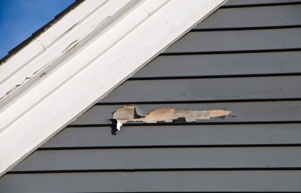 Historical Building Siding Restoration in Five Points, NC